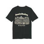 Mount Assiniboine Tee